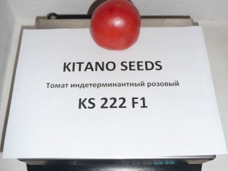 30.07.2012 г.&nbsp;Красивый, плотный и ароматный, перламутрово-розовый томат КИБО F1 (KS 222).&nbsp;Краснодарский край