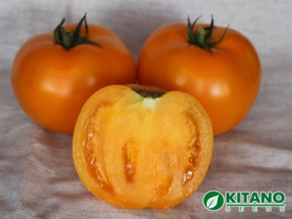 Красивые, желтые, один в один, вкусные плоды томата КS&nbsp;10&nbsp;F1 буквально тают во рту. Совместим приятное с полезным!